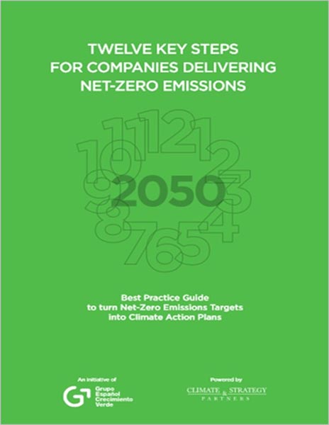 Twelve Key Steps for Companies Delivering Net-zero Emissions